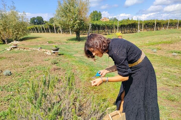 Beekeeping Farm Tour and Honey Tasting in Lazise (Lake Garda) photo 3