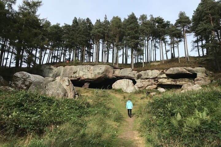 Guided Walk to Saint Cuthbert’s Cave: Woodland Walks, Red Squirrels & Views to Holy Island photo 4
