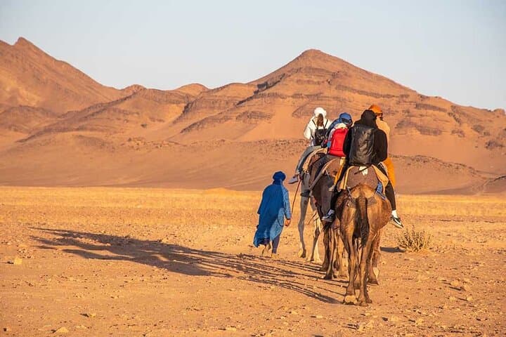 2-Day Marrakech to Zagora Desert Trip: Ait Ben Haddou, Draa Valley & Camel Camp photo 2