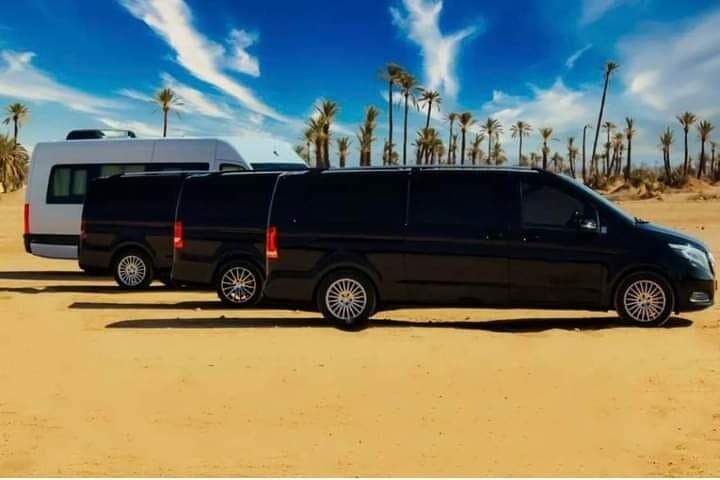 2-Day Marrakech to Zagora Desert Trip: Ait Ben Haddou, Draa Valley & Camel Camp photo 4