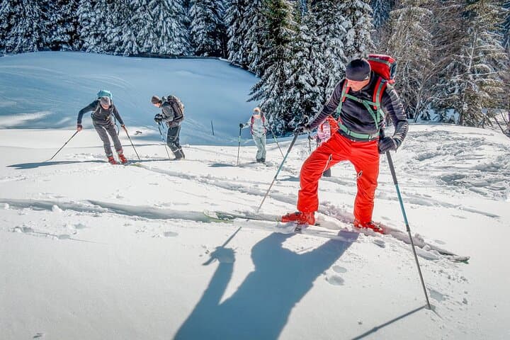 One-Day Ski Touring Workshop in the Julian Alps & Karawanks photo 6