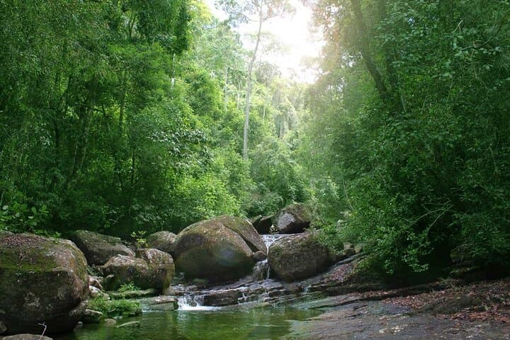Sinharaja Rain Forest Day Tour from Colombo — Guided Rainforest Trek & Wildlife Viewing photo 6