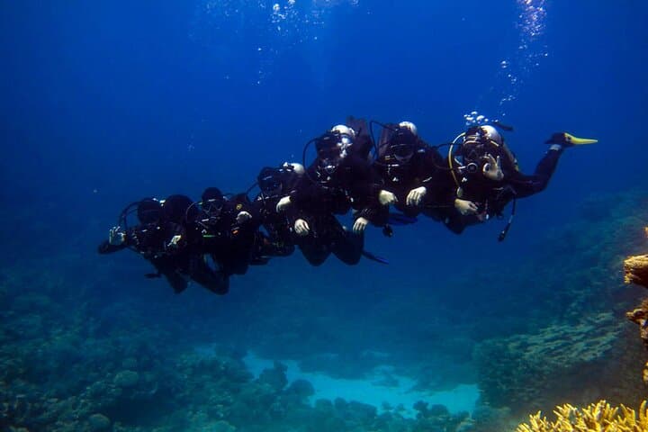 Hurghada Full-Day Beginner Diving: Explore the Red Sea Reefs photo 3