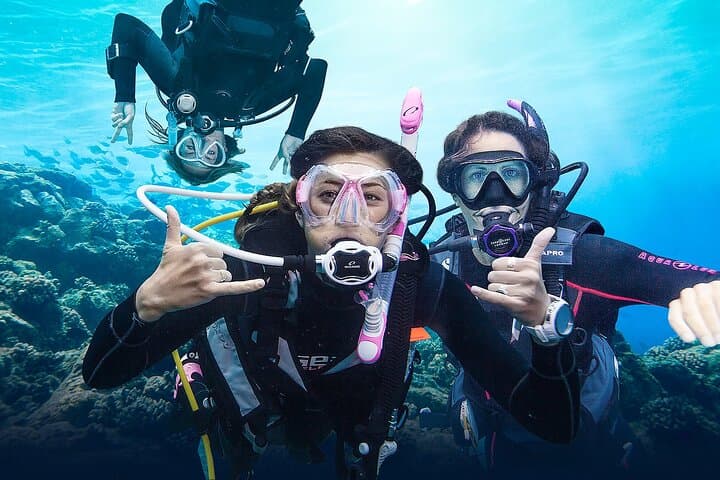 Hurghada Full-Day Beginner Diving: Explore the Red Sea Reefs photo 6