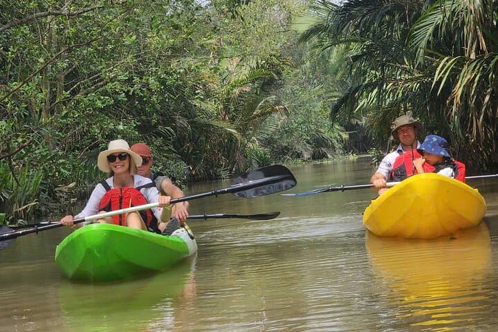 Private Luxury Mekong Delta 1-Day Tour from Ho Chi Minh City photo 5