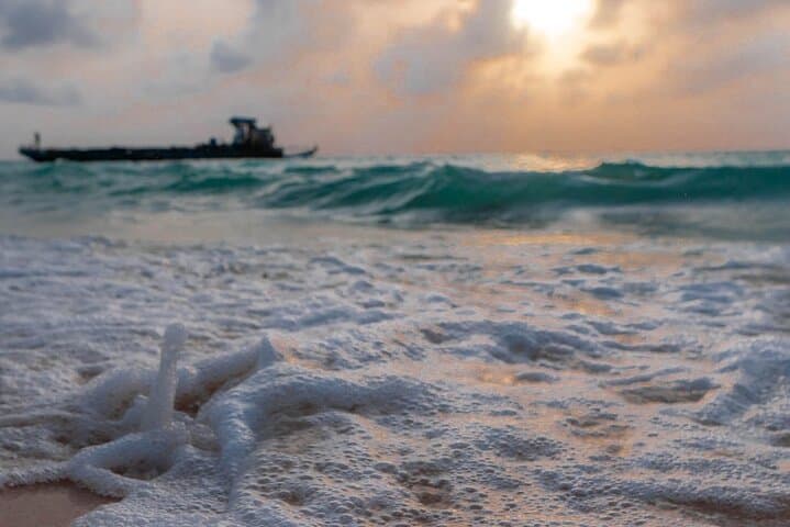 Baru Bioluminescent Plankton and Sunset Dinner from Cartagena