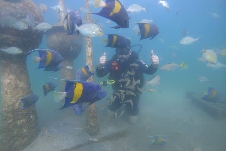 Shore Scuba Diving at Halfmoon Beach, Dammam — Discover Scuba Diving Experience