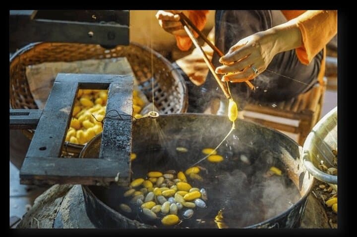 Inside Hoi An’s Silk Village: Half-Day Sericulture & Weaving Experience photo 6