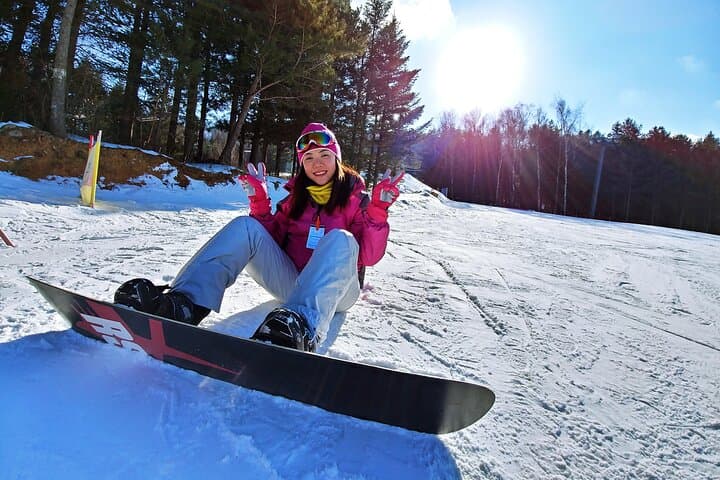One-Day Ski Lessons with Licensed Instructors in Gangwon, South Korea