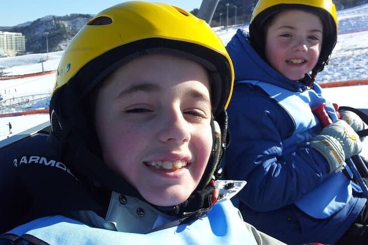 One-Day Ski Lessons with Licensed Instructors in Gangwon, South Korea photo 3