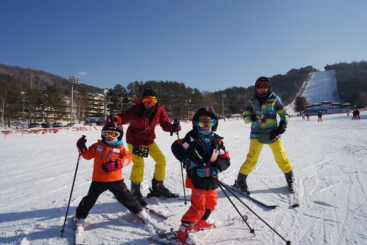 One-Day Ski Lessons with Licensed Instructors in Gangwon, South Korea photo 6