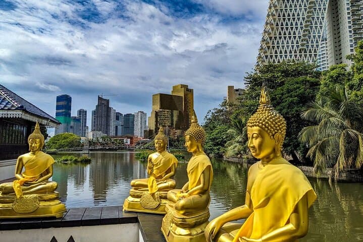 Explore Colombo's Cultural Charms and Muthurajawela Birdwatching photo 3