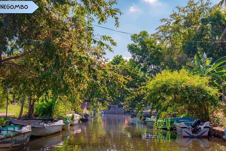 15-Day Private Sri Lanka Tour: Culture, Highlands & Wildlife photo 3