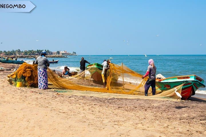 15-Day Private Sri Lanka Tour: Culture, Highlands & Wildlife photo 4