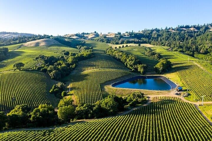 Private Enchanted Napa and Sonoma Wine Tour from San Jose — Castello di Amorosa & Sonoma Square photo 3
