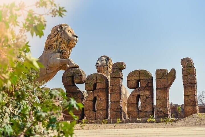 VIP Lion Safari and Golden Triangle: Sunrise Taj to Etawah Lion Safari