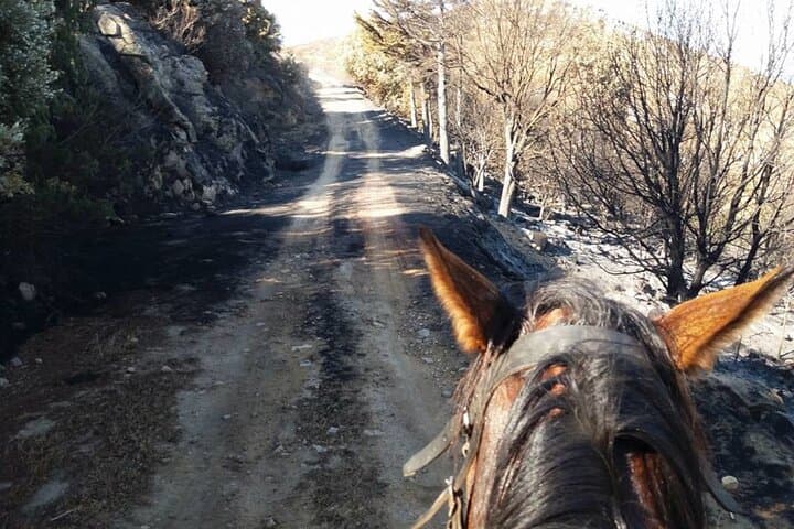 Horseback Riding to Mount Pontesu: Orosei & Irgoli Trails in Baronia, Sardinia photo 3