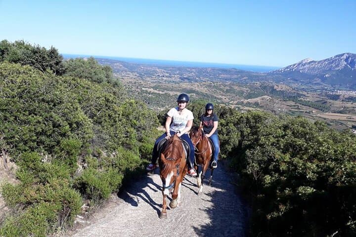 Horseback Riding to Mount Pontesu: Orosei & Irgoli Trails in Baronia, Sardinia photo 5
