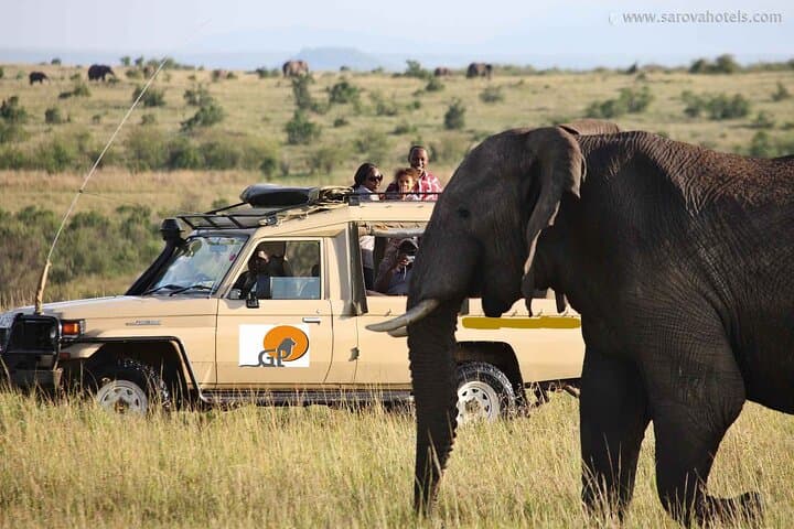 7-Day Maasai Mara, Lake Nakuru, Naivasha & Amboseli Safari — Big Five Kenya Adventure photo 4