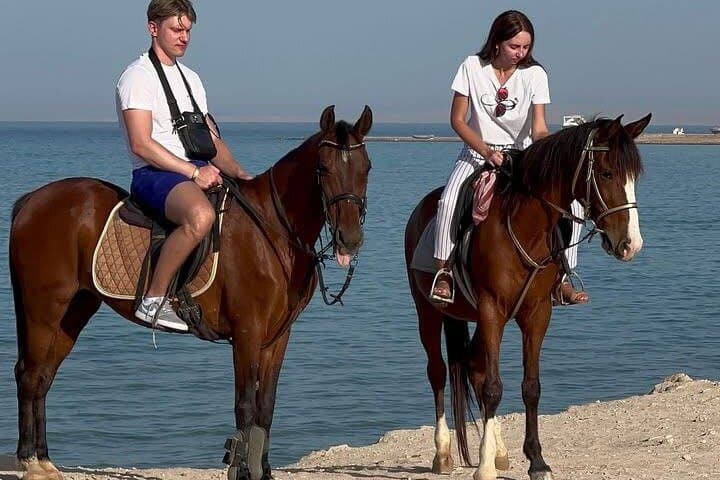 Hurghada Desert-to-Sea Horseback Ride: 3-Hour Arabian Coast Adventure photo 3
