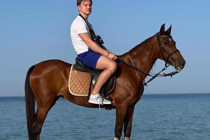 Hurghada Desert-to-Sea Horseback Ride: 3-Hour Arabian Coast Adventure photo 4