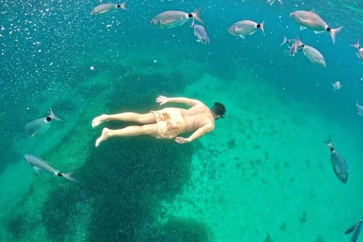 Alghero Snorkeling RIB Tour: Explore Porto Conte & Capo Caccia Marine Park photo 6