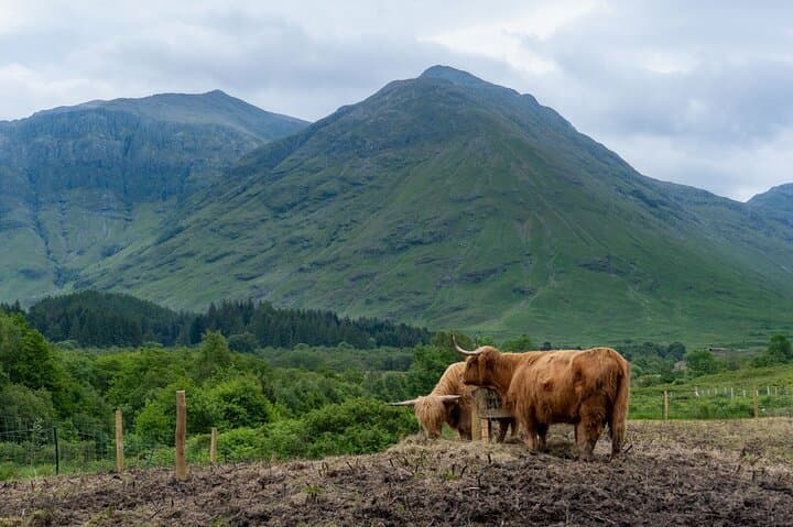 Highlands-and-Loch-Ness-day-tour-from-Glasgow-loch-lomond-glen-coe photo 2