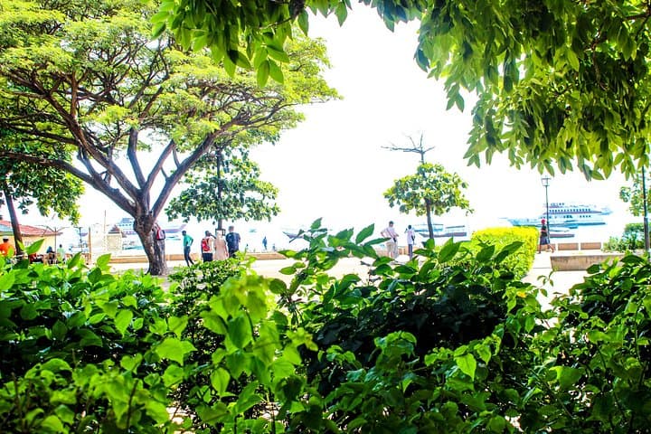 Stone Town Walking Tour: Half-Day Historic Tour of Zanzibar's Old City photo 4