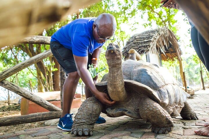 Prison Island Half-Day: Snorkeling, Aldabra Tortoises & Beach Time from Stone Town photo 3