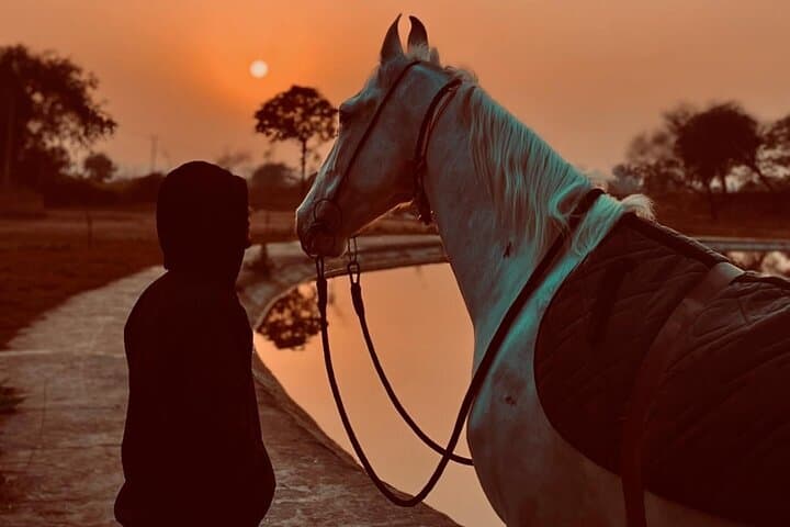 Where Dunes Meet Waves: 2‑Hour Horseback Ride in Hurghada