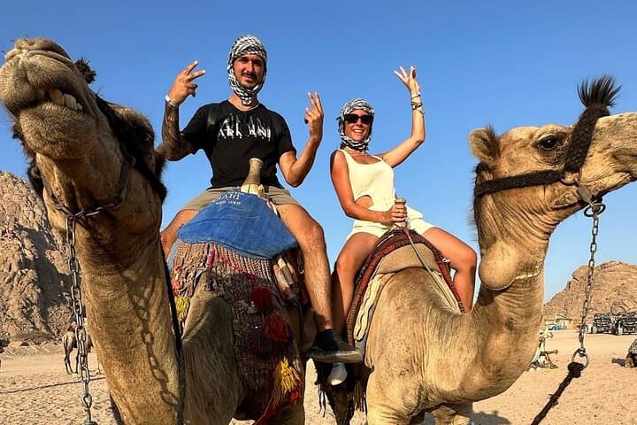 Sharm El Sheikh Mega Safari: Desert Quads, Bedouin Tea & Red Sea Thrills photo 3