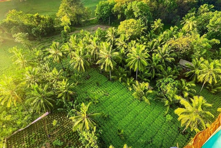 Sunrise Hot Air Balloon Over Sigiriya & Habarana — Aerial Safari Above Sri Lanka photo 4
