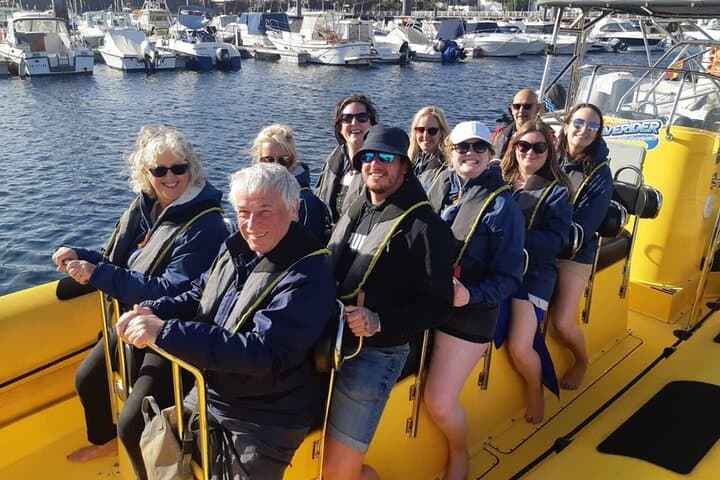Dolphin Watching and Swim at Papagayo Beach — Speedboat Tour from Puerto del Carmen photo 4