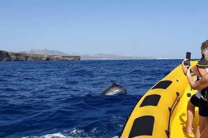 Dolphin Watching and Swim at Papagayo Beach — Speedboat Tour from Puerto del Carmen photo 5