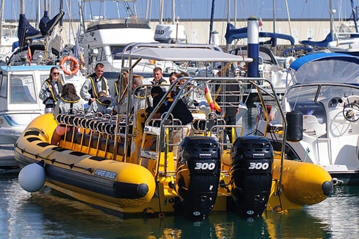 Dolphin Watching and Swim at Papagayo Beach — Speedboat Tour from Puerto del Carmen photo 6