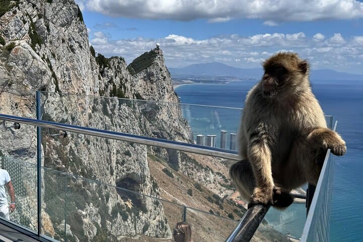 Gibraltar Private Day Tour from Marbella: Rock, Monkeys & Caves