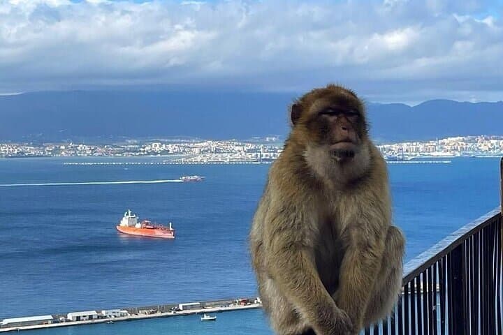 Gibraltar Private Day Tour from Marbella: Rock, Monkeys & Caves photo 5