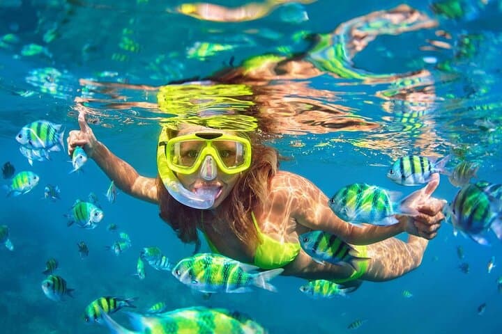 Phi Phi & Maya Bay Speedboat Day Trip from Krabi — Snorkel, Beaches & Limestone Cliffs photo 6