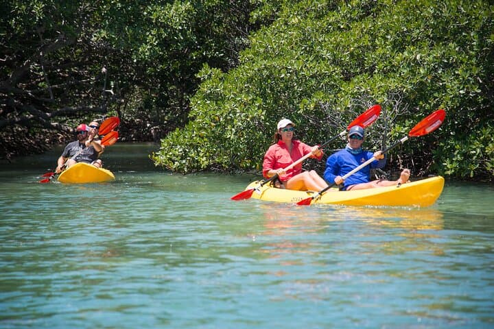 Key West Backcountry Schooner: Sail, Snorkel & Kayak the National Wildlife Refuge photo 6