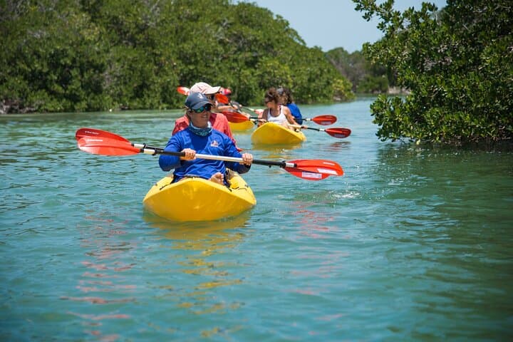 Key West Backcountry Schooner: Sail, Snorkel & Kayak the National Wildlife Refuge photo 4