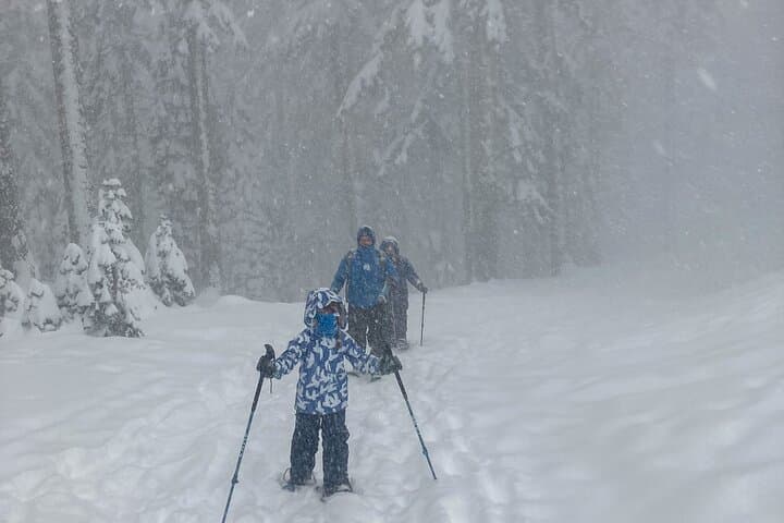 Mt Shasta Snowshoeing Tours - Guided Snowshoe Hikes for Beginners photo 3