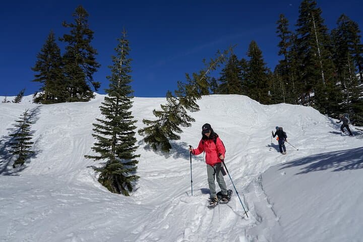 Mt Shasta Snowshoeing Tours - Guided Snowshoe Hikes for Beginners photo 4