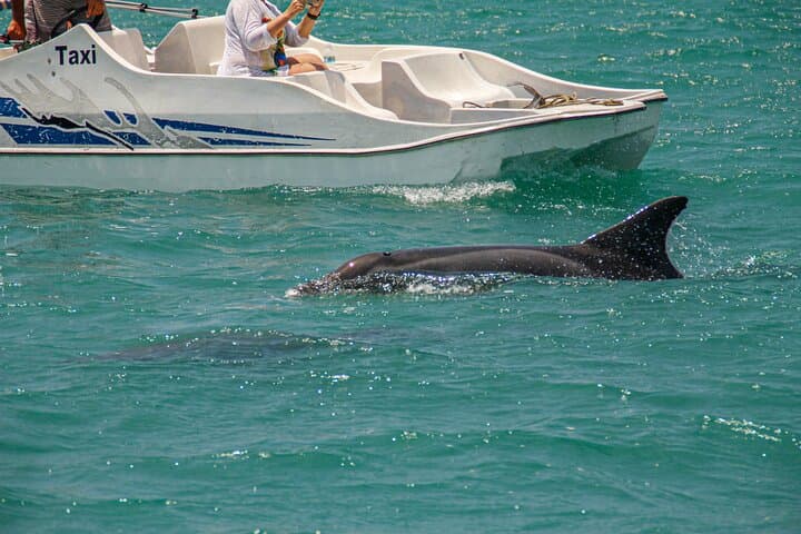 Schooner Trip Around Búzios Peninsula: Half-Day Beach & Snorkel Cruise photo 5