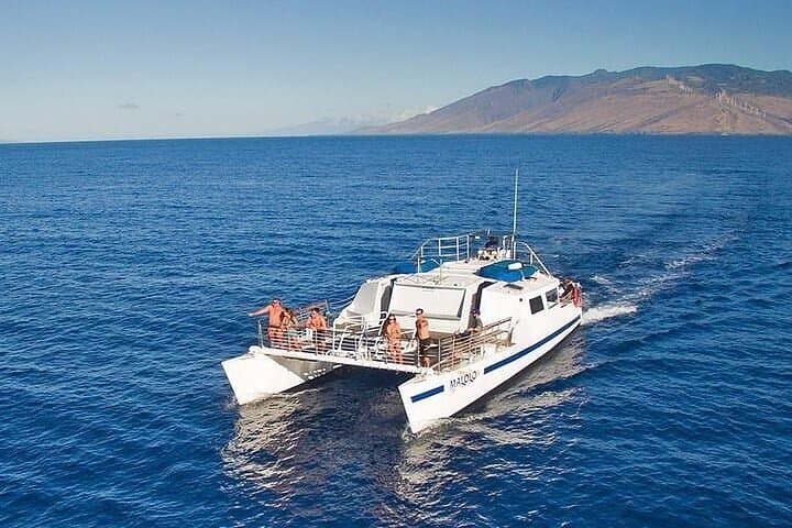 Sunset Whale Watch from Ma'alaea Harbor Aboard the Malolo