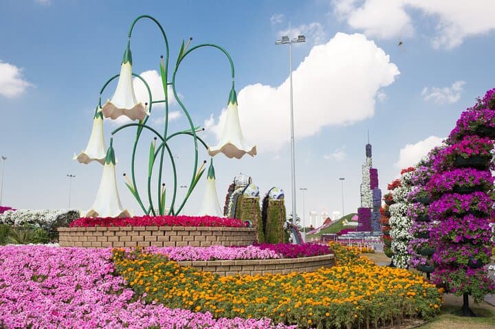 Dubai Miracle Garden: Guide to the World's Largest Floral Display photo 4