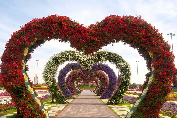 Dubai Miracle Garden: Guide to the World's Largest Floral Display