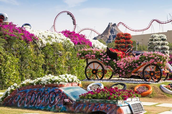 Dubai Miracle Garden: Guide to the World's Largest Floral Display photo 6