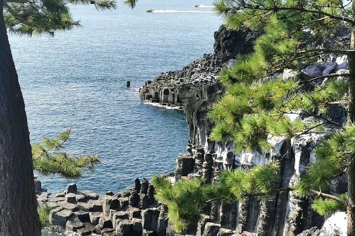Private Jeju Gangjung Port Shore Excursion — Jungbang, Oedolgae & Green Tea Fields photo 2