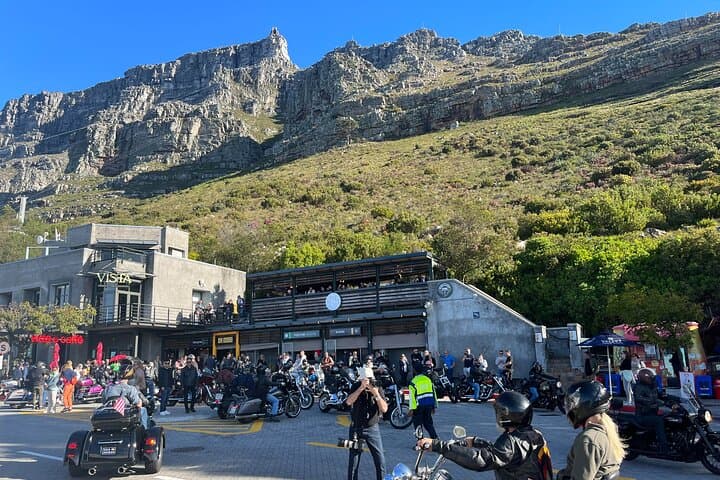 Table Mountain, City & Constantia Wine Journey — Cape Town Sightseeing, Seals & Wine Tasting photo 6