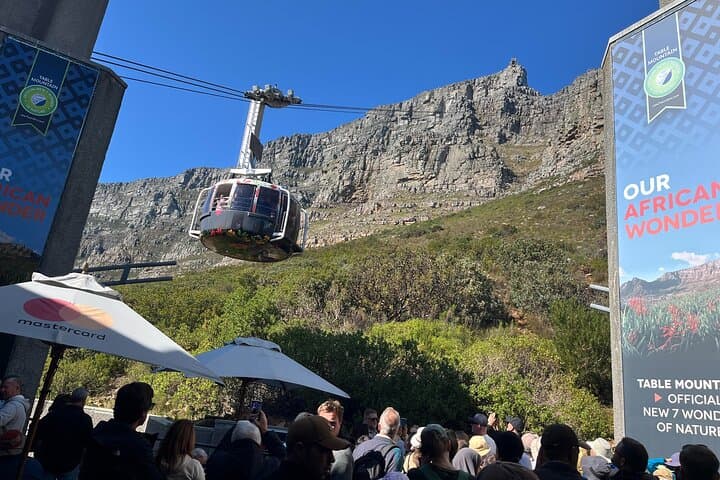 Table Mountain, City & Constantia Wine Journey — Cape Town Sightseeing, Seals & Wine Tasting photo 4